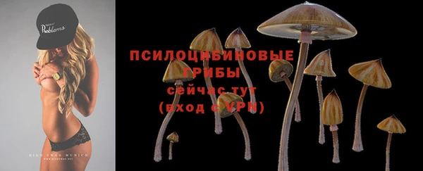 прущие крисы Алексеевка